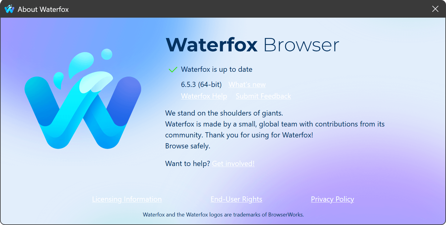 about waterfox window